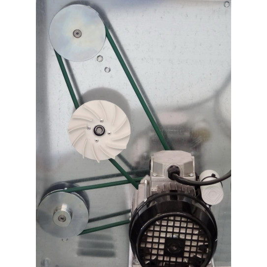 Vue courroies poulies moteur 370W façonneuse pizza 2300/L40 B40 IGF – Pièces Z14 895mm Z19 635mm ouvertes