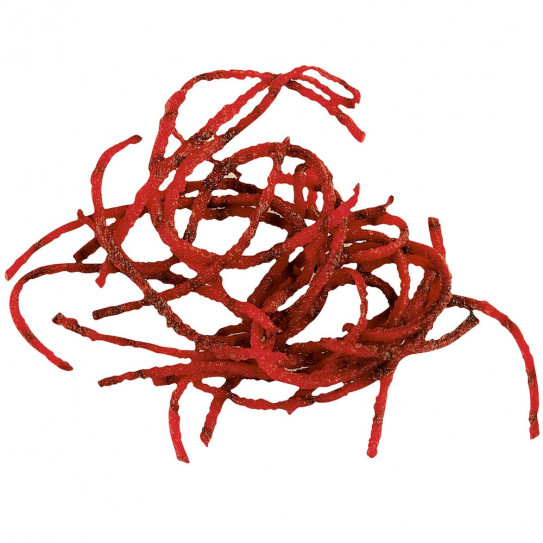 Disque râpeur 2mm 28057 Robot-Coupe CL50, CL52, CL55, CL60, R502, R652