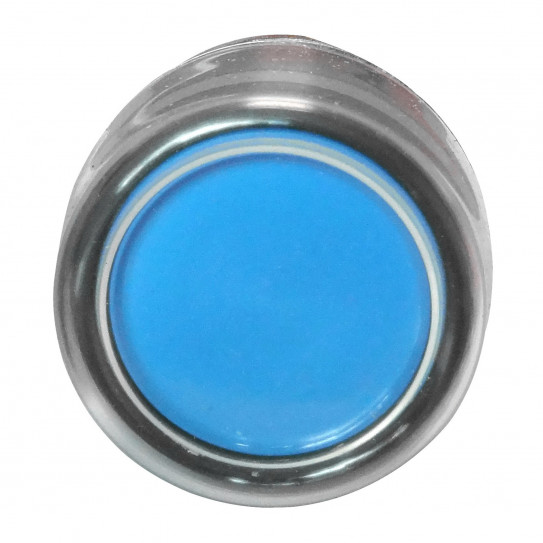 Bouton poussoir bleu pour façonneuse pizza IGF 2300/B40 et 2300/B30 - 2300/B30Z06 et 2300/B40Z06 Bouton poussoir bleu pour façonneuse pizza IGF 2300/B40 et 2300/B30 - 2300/B30Z06 et 2300/B40Z06