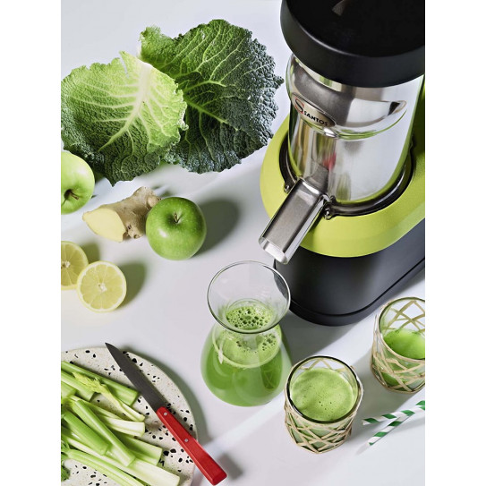 N°65 Nutrisantos™ Extracteur de jus pressés à froid SANTOS