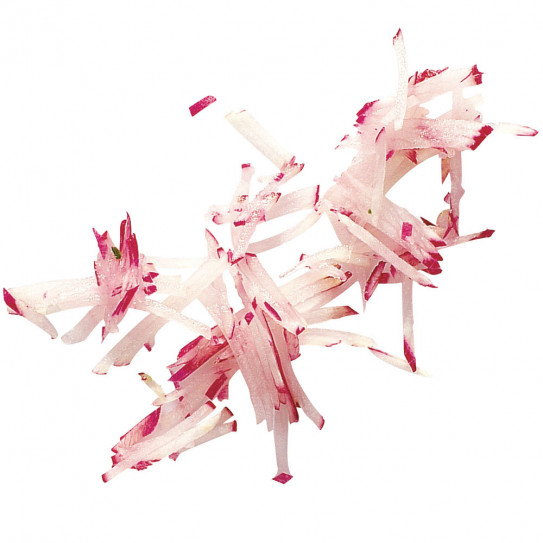 Disque Julienne 2x2 mm 28051W Robot-Coupe