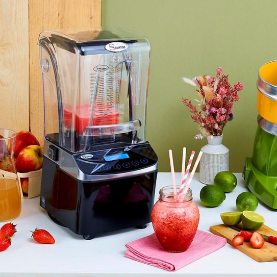 Santos N°62 Blender Brushless Expert utilisation